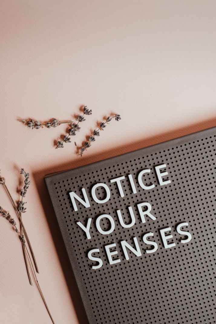 the phrase notice your senses on a pin board
