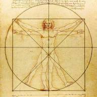 vitruvian_man_mixed